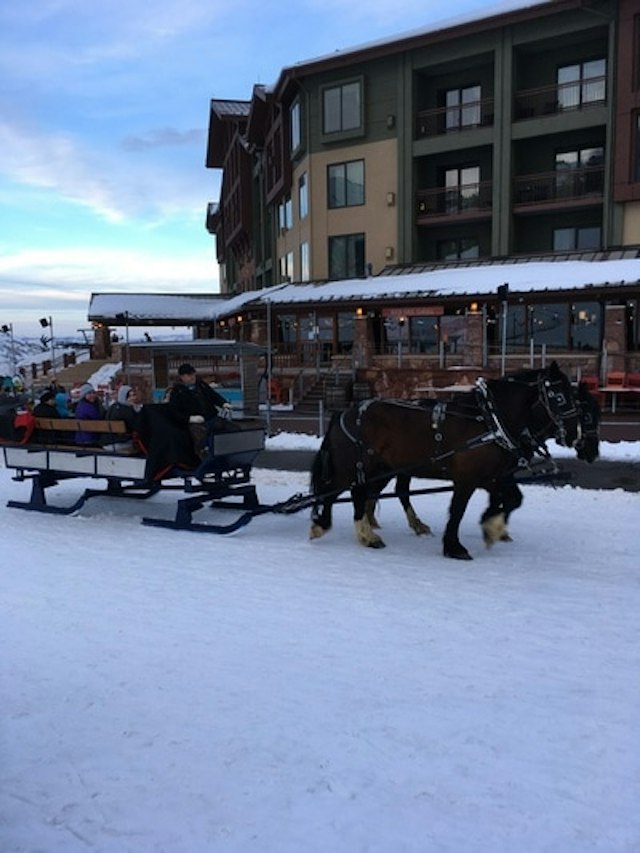 Park City Seigh Rides image 13