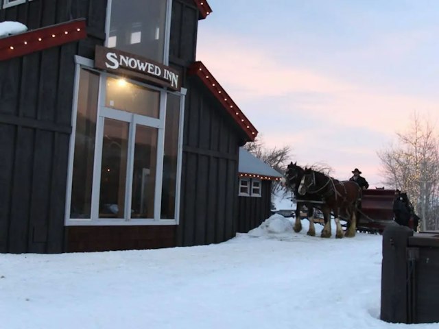 Snowed Inn Sleigh Co. image 7