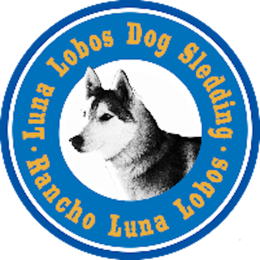 Luna Lobos Dog Sledding image 3