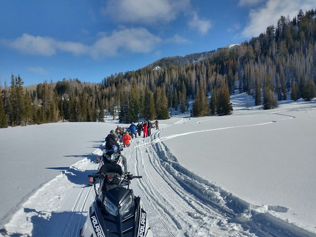 Backcountry Snowmobiling image 4
