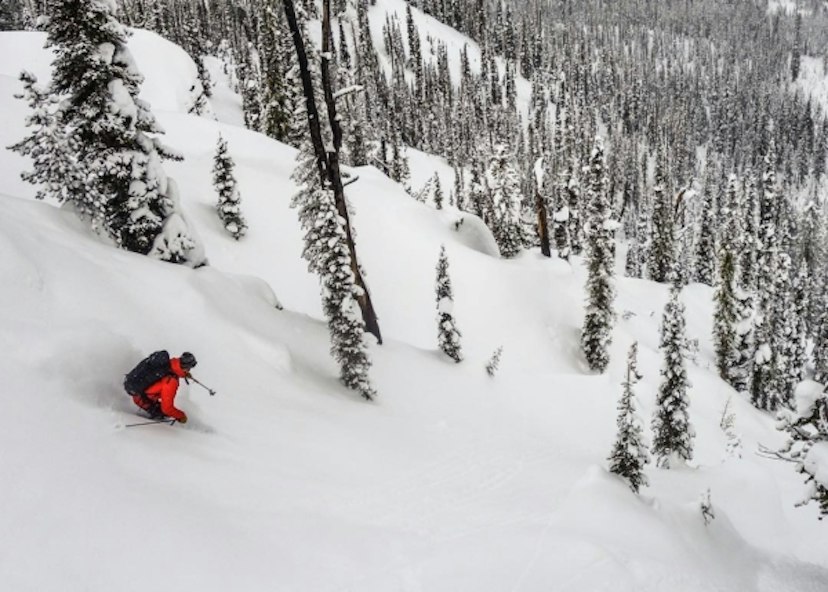 Sawtooth Mountain Guides image 2