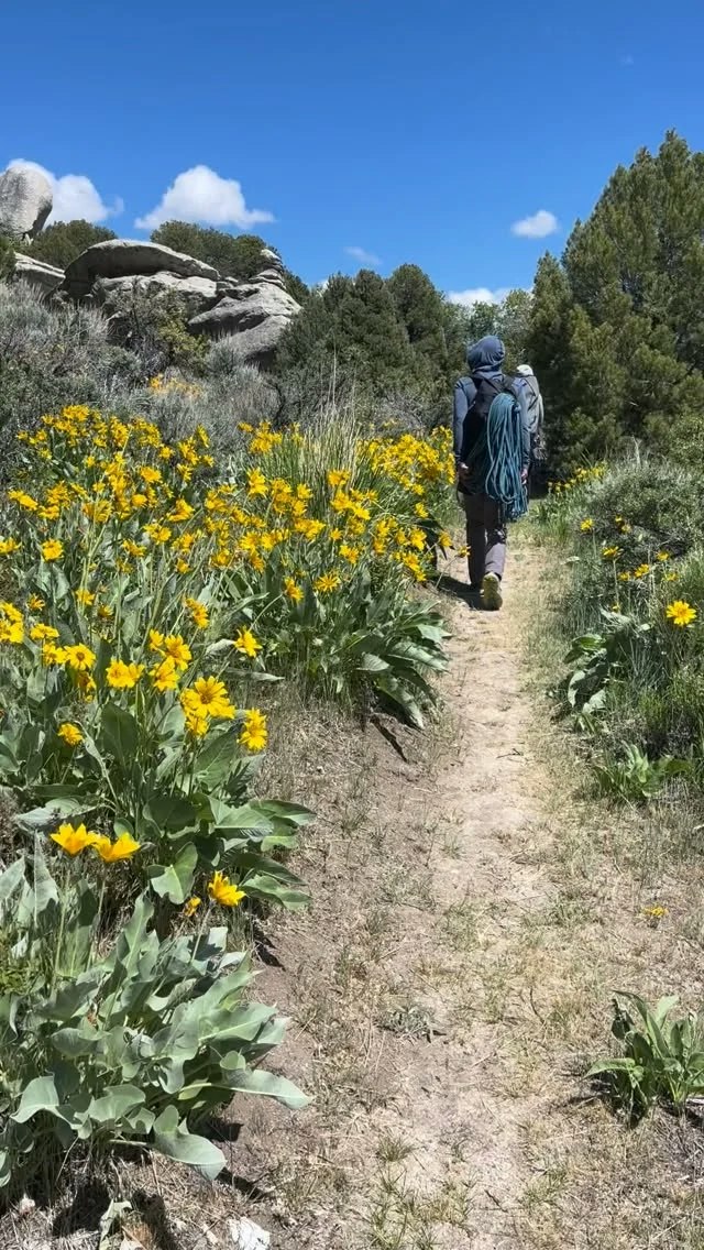 Sawtooth Mountain Guides image 4