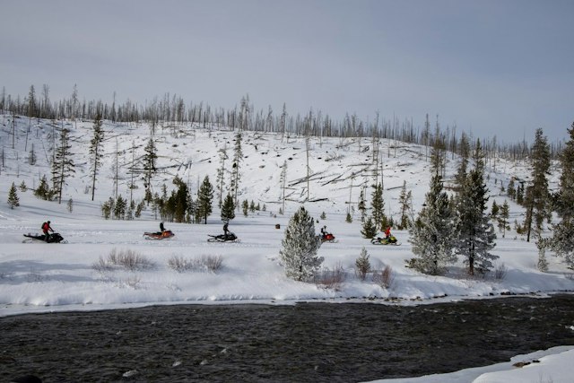 Smiley Creek Lodge image 2