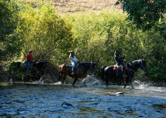 Sun Valley Stables image 2