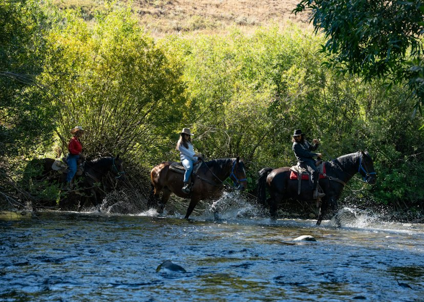 Sun Valley Stables image 2