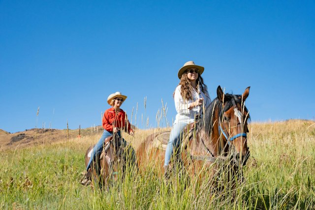 Sun Valley Stables image 3