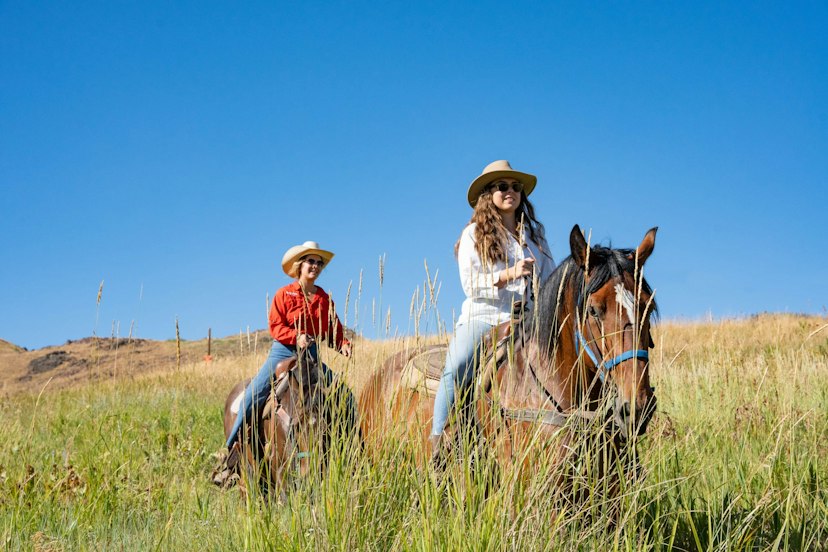 Sun Valley Stables image 3