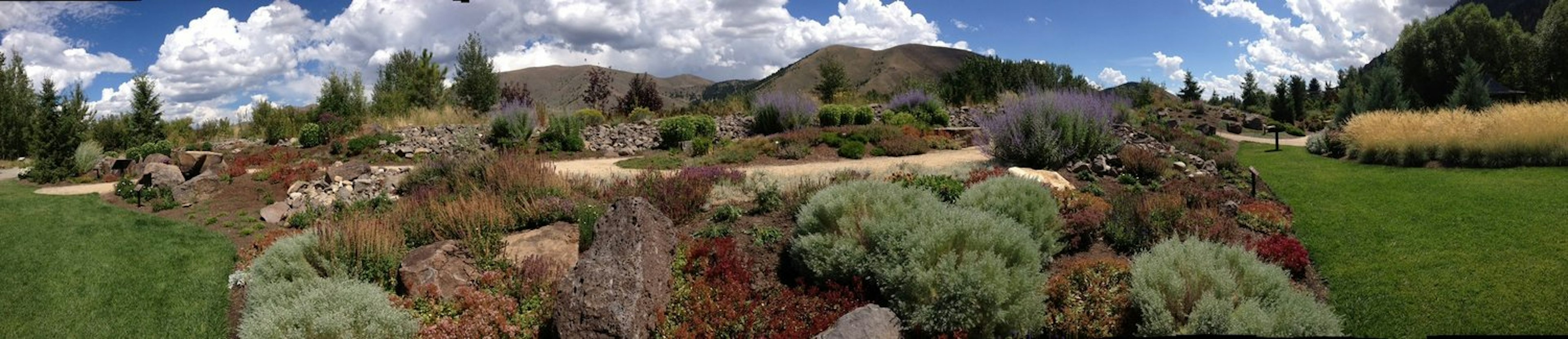 Sawtooth Botanical Garden, photo