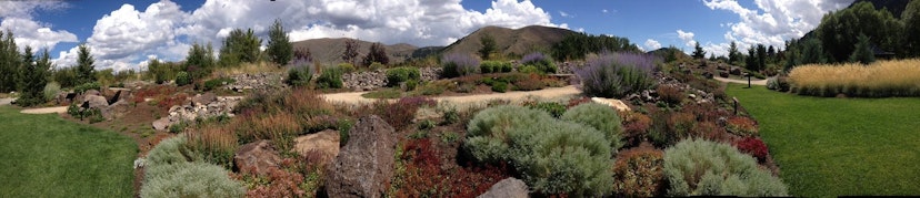 Sawtooth Botanical Garden image 1