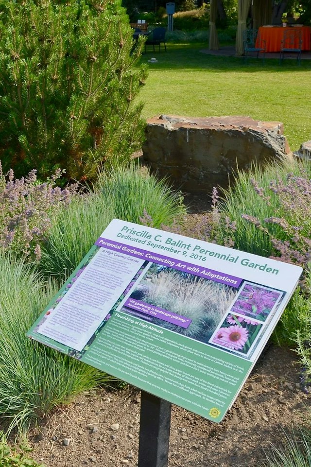 Sawtooth Botanical Garden image 8