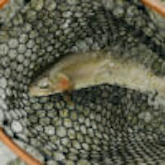 Silver Creek Outfitters image 6