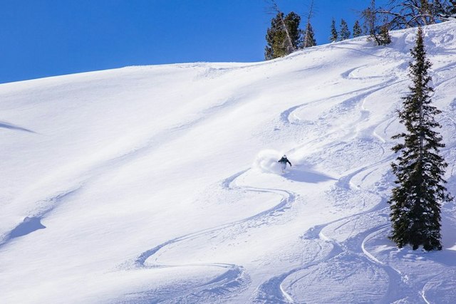 Sun Valley Heli Ski image 7