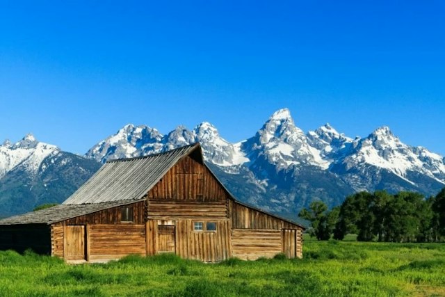 Jackson Hole Wildlife Safaris image 2