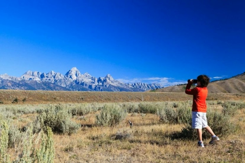 Jackson Hole Wildlife Safaris image 3