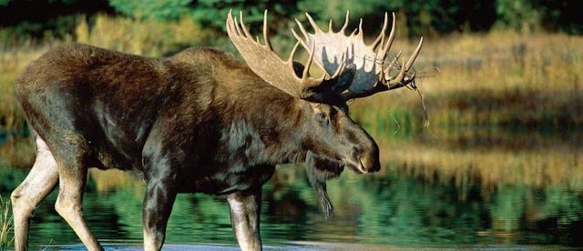 Barker-Ewing Grand Teton National Park Scenic Float Trips image 3
