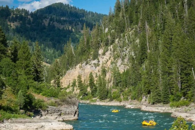 Mad River Boat Trips image 1