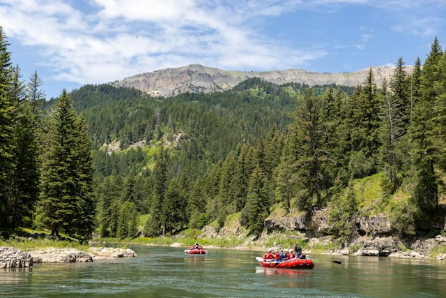 Jackson Hole Whitewater image 6