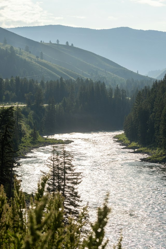 Jackson Hole Whitewater image 9