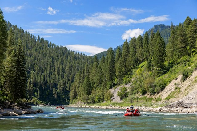 Jackson Hole Whitewater image 10