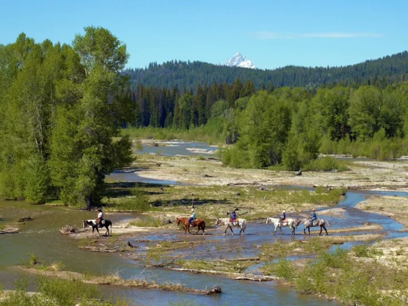 Swift Creek Outfitters & Teton Horseback Adventures image 2