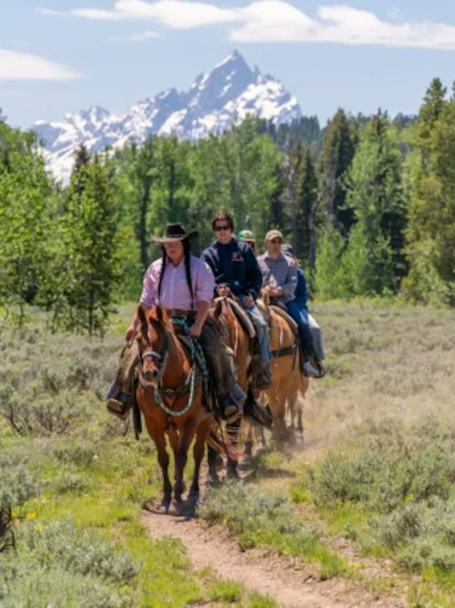 Swift Creek Outfitters & Teton Horseback Adventures image 3