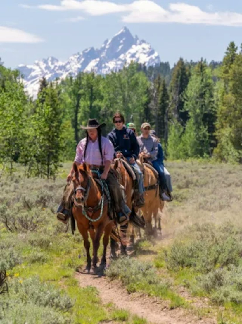 Swift Creek Outfitters & Teton Horseback Adventures image 3