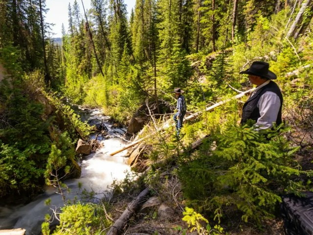 Swift Creek Outfitters & Teton Horseback Adventures image 4