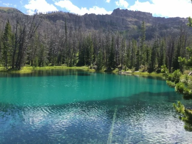 Swift Creek Outfitters & Teton Horseback Adventures image 6