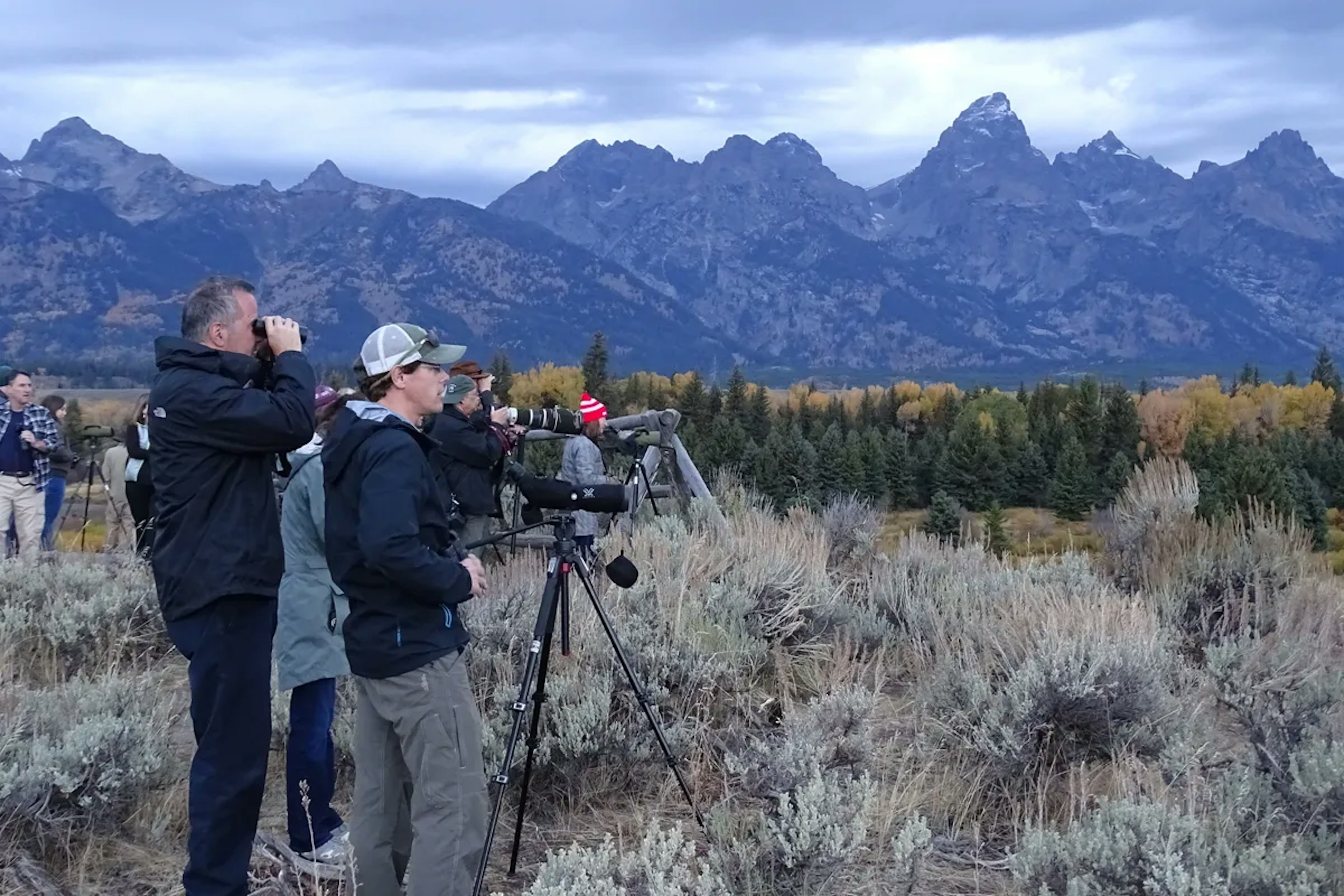 Buffalo Roam Tours, photo