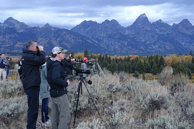 Buffalo Roam Tours image 1
