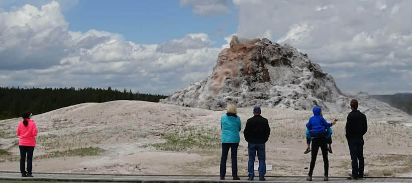 Buffalo Roam Tours image 3