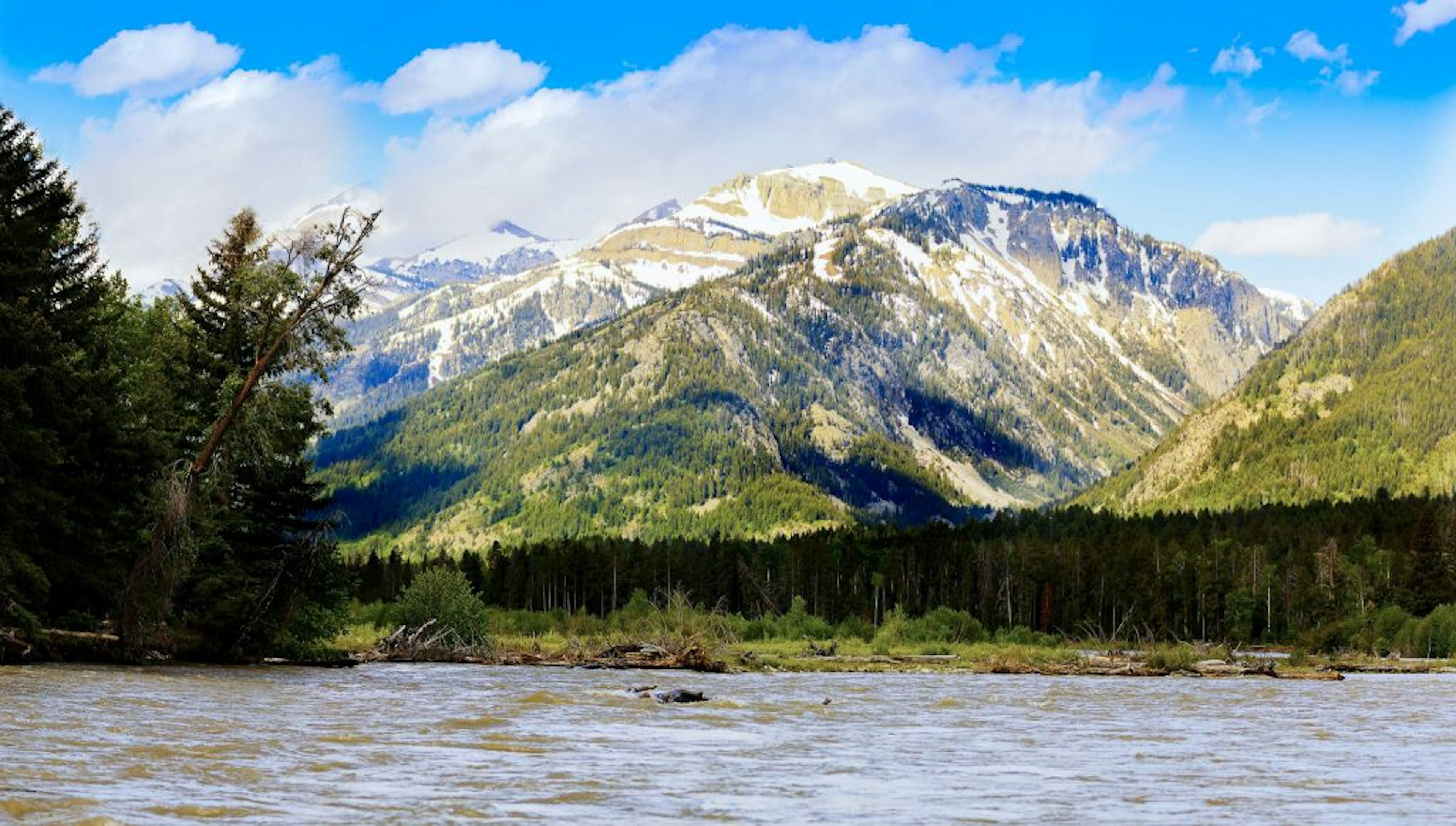 Dornan's Snake River Angler and Scenic Float Trips, photo