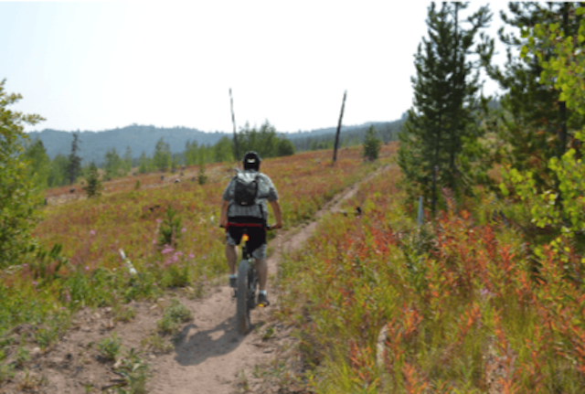 E-Bikes of Jackson Hole image 7