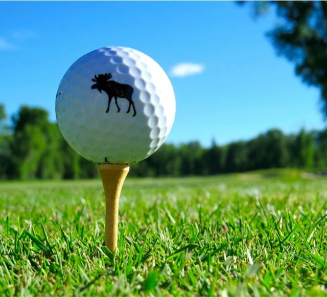 Jackson Hole Golf & Tennis Club image 6