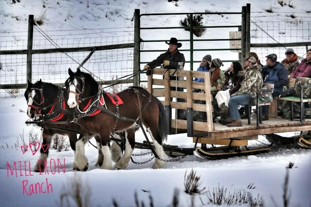 Mill Iron Ranch image 14