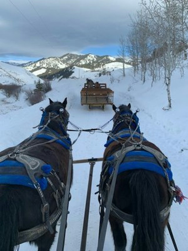 Mill Iron Ranch image 13