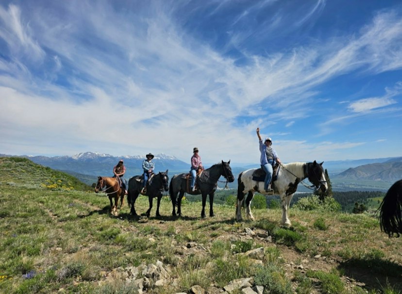 North Fork Trail Rides image 1