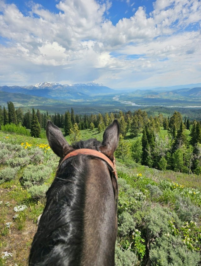 North Fork Trail Rides image 5
