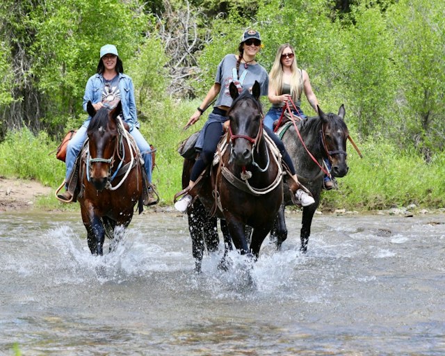 North Fork Trail Rides image 4
