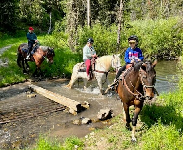 North Fork Trail Rides image 12