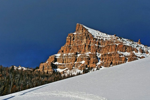 Scenic Safaris - Winter image 4
