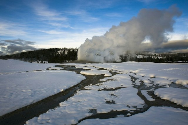 Scenic Safaris - Winter image 10