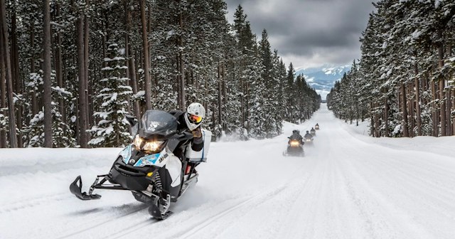 Scenic Safaris - Winter image 7