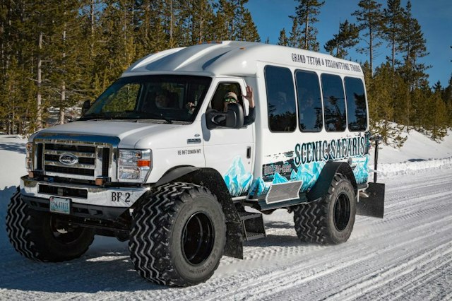 Scenic Safaris - Winter image 11