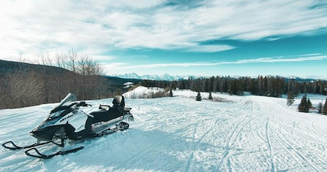 Scenic Safaris - Winter image 12