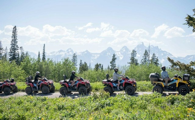 Scenic Safaris - Summer image 1