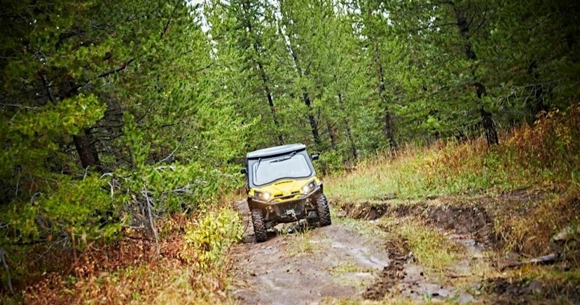 Scenic Safaris - Summer image 2