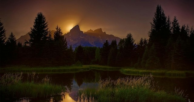 Scenic Safaris - Summer image 6
