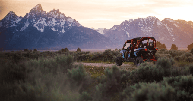 Scenic Safaris - Summer image 8