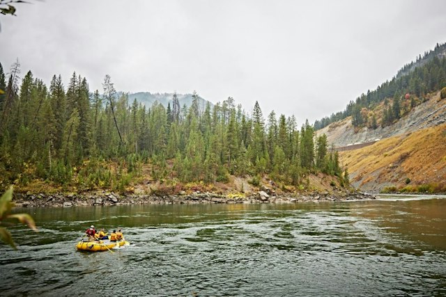 Scenic Safaris - Summer image 9